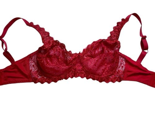 Red Bra 34DD Floral Rose Appliqué Lace Romantic Sexy Lingerie