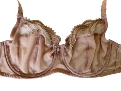 Beautiful Blush Beige Scalloped Romantic Lace Wacoal Bra 34C Lingerie Coquette