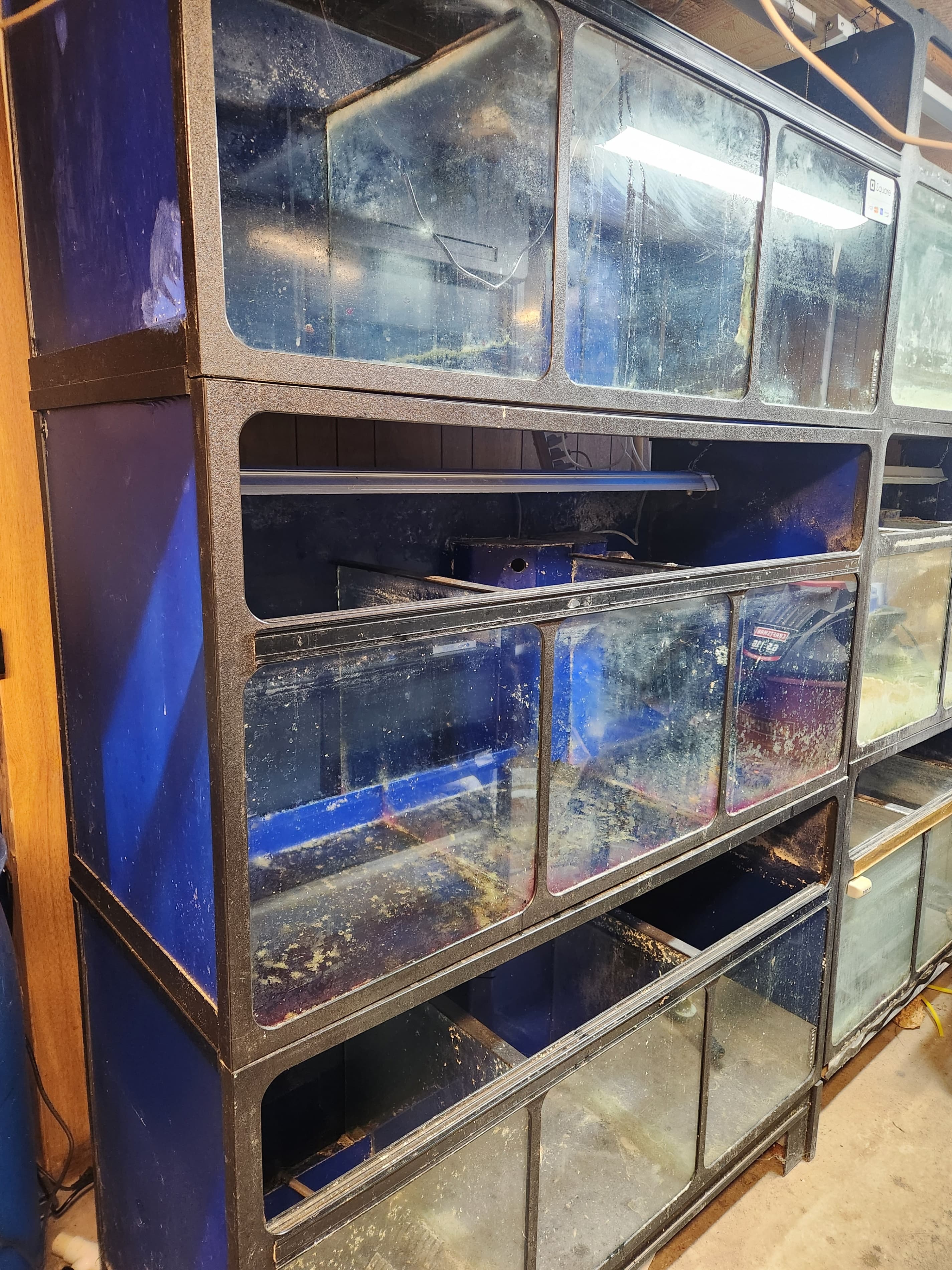 Commercial Fish Tanks