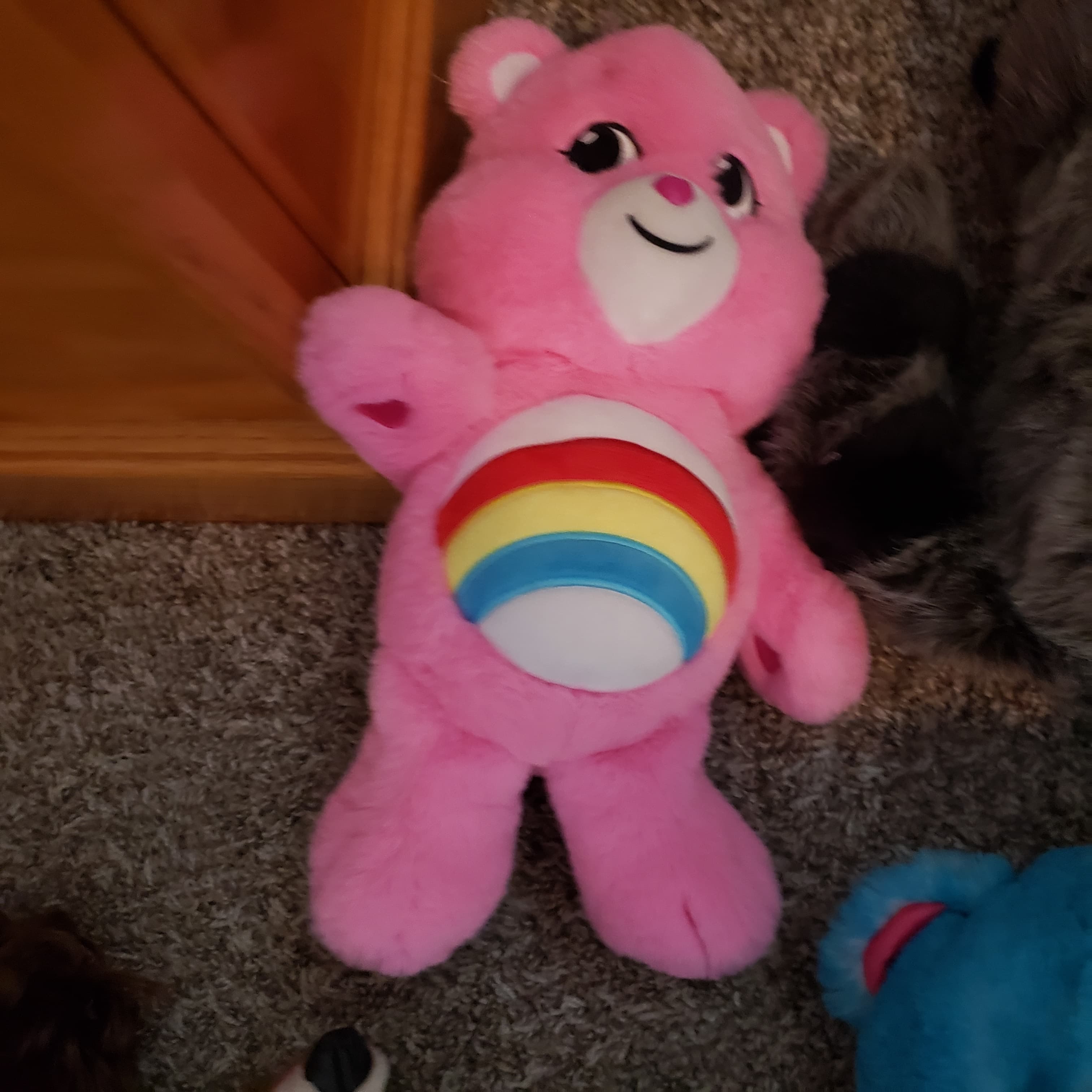 Care Bears Cheer Bear Plush Toy Pink Rainbow Belly