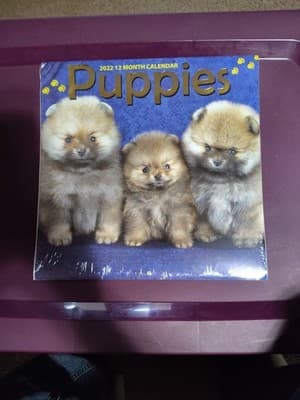Puppies 12-Month 2022 Calendar (Sealed)