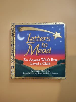 Letters to Mead: A Mother's Extraor..., Mulvihill, Pegg