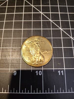 Vintage Knoxville Tennessee zoo African Lion coin
