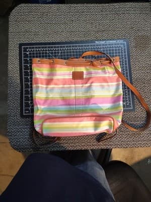 Coach Hampton Watercolor Stripe Canvas Back Pack