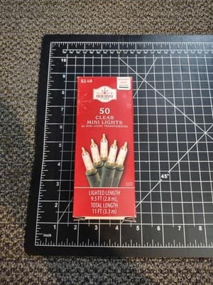 Holiday Time Clear 50 Mini Lights Incandescent 9.5' Litght New indoor/outdoor