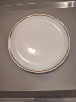 St. Regis 102 Japan Fine China Dinner Plate