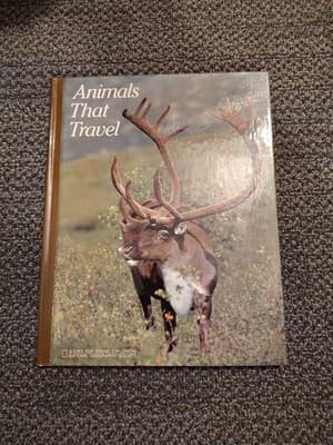 Animals That Travel by Jennifer C. Urquhart