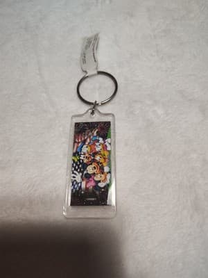 Disney Mickey Minnie Mouse Donald Daisy Duck Goofy Pluto Friends Flag Keychain