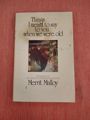 Things I Meant to Say to Say Paperback Merrit Malloy
