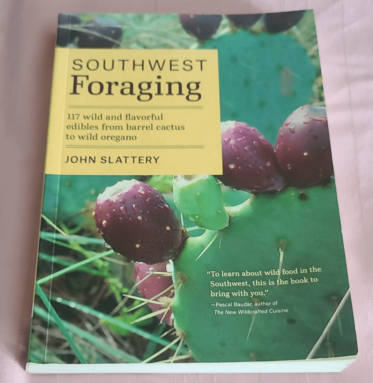 John Slattery Southwest Foraging: 117 Wild Edibles (2016) Trade Paperback