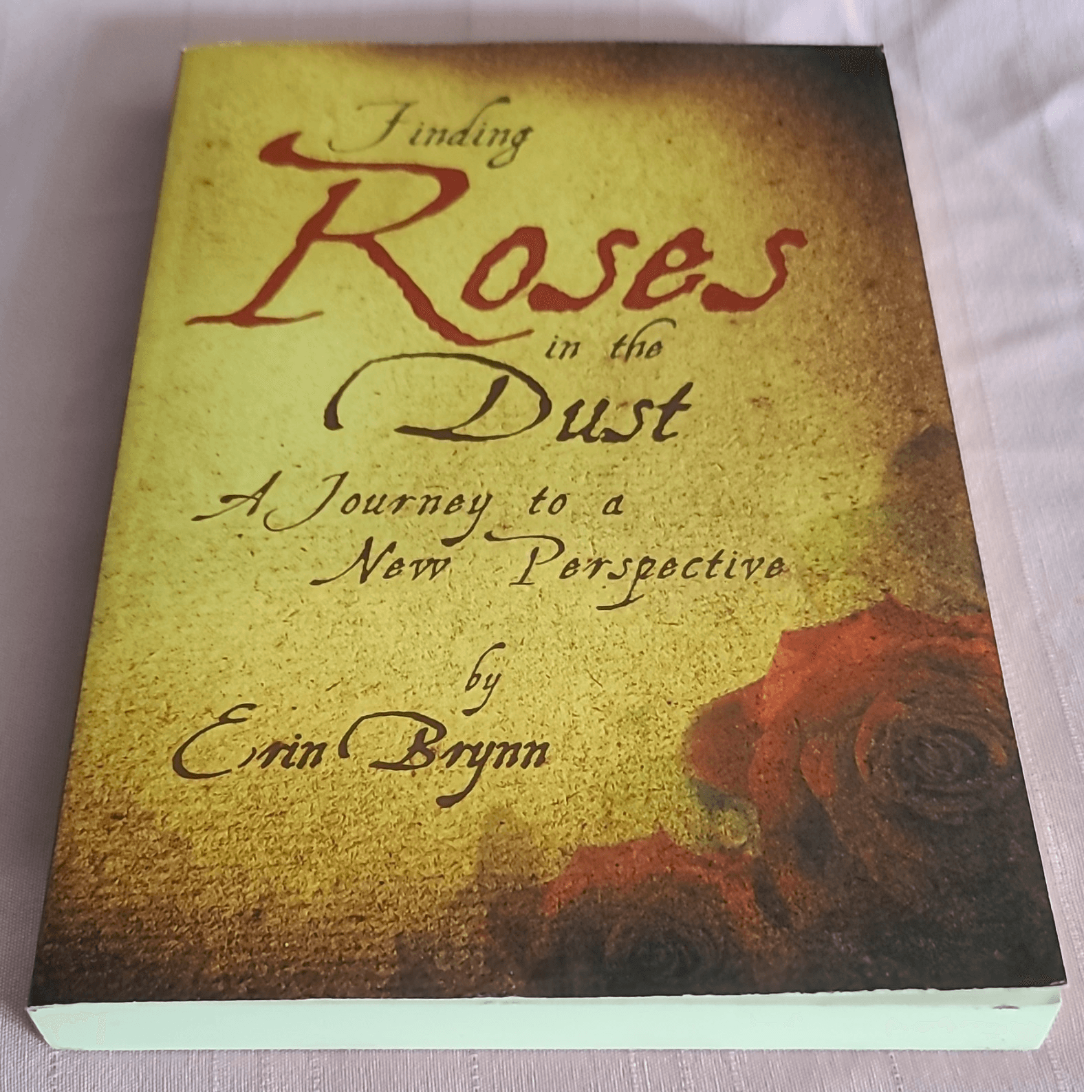 Erin Brynn Finding Roses in the Dust: A Journey to a New Perspective PB