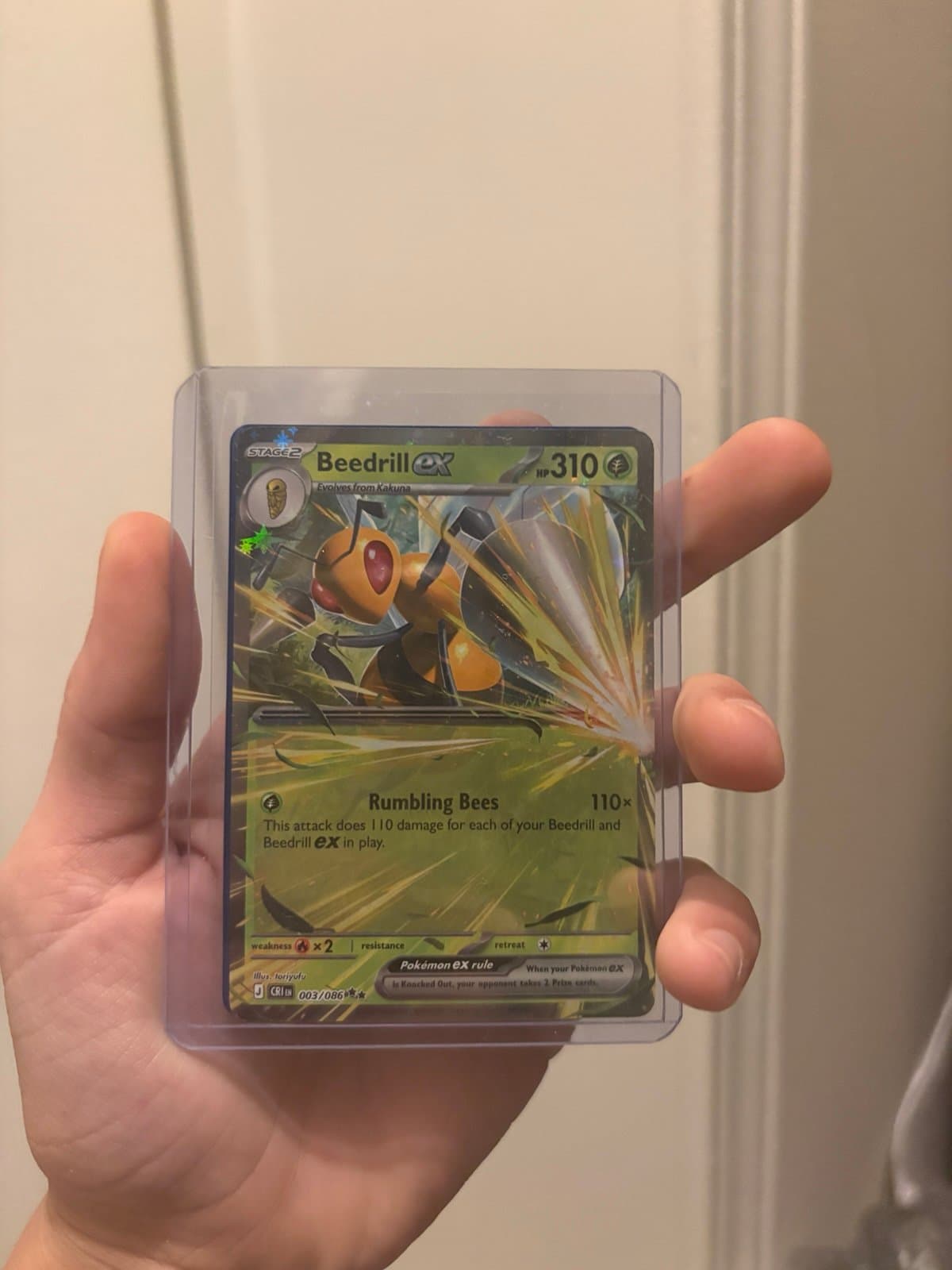 Pokemon TCG Beedrill ex Card