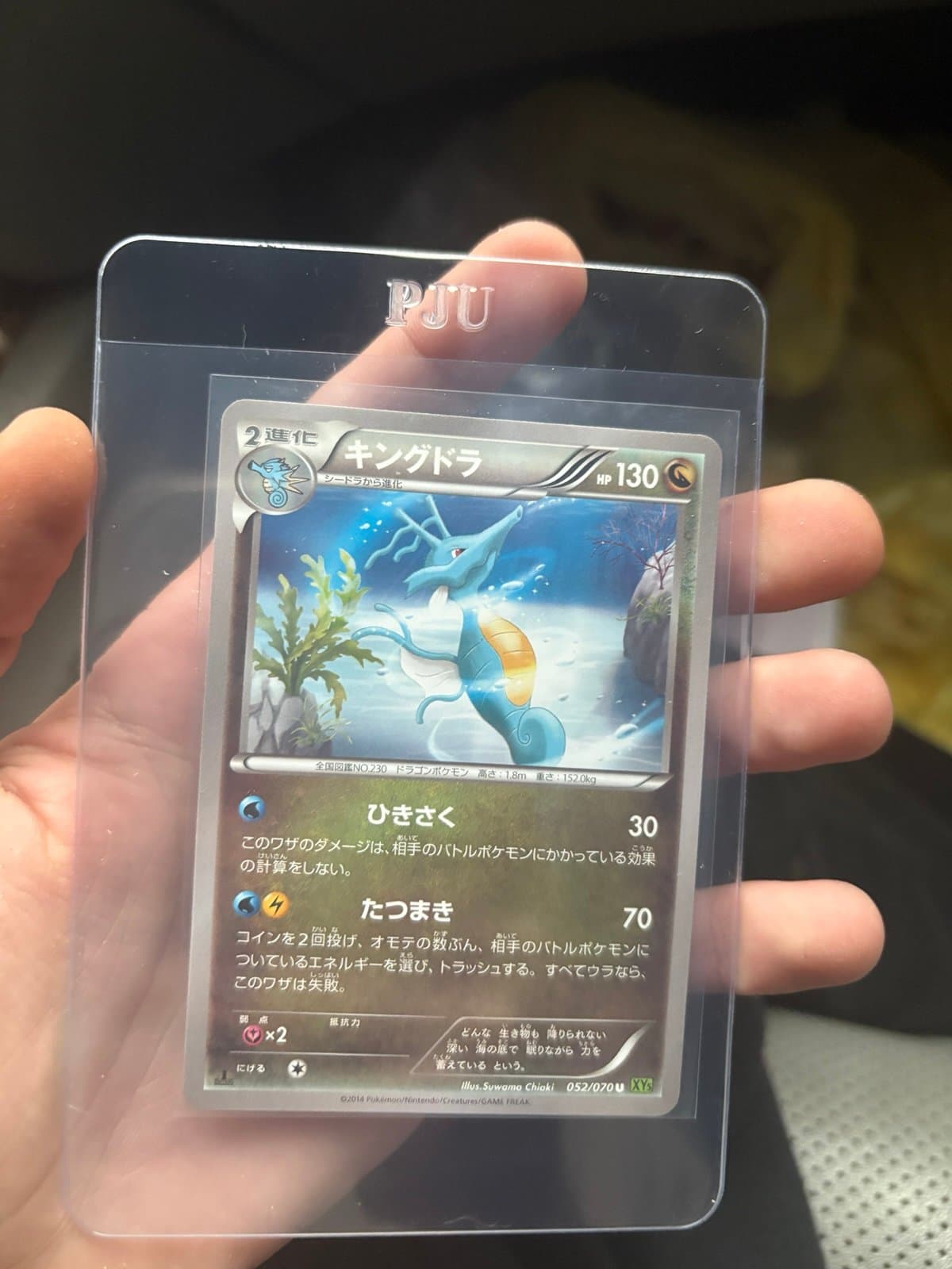 Pokemon TCG Japanese Kingdra