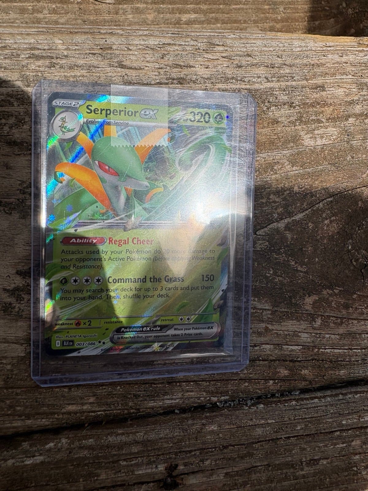 Pokemon TCG Serperior ex Card ULTRA RARE