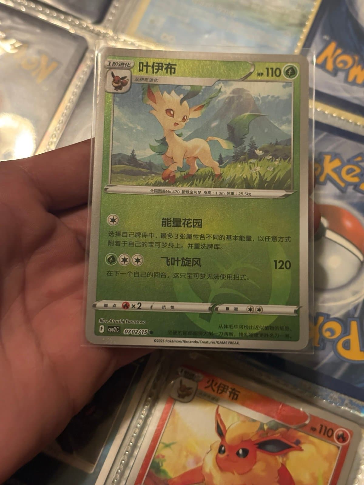 Chinese Energy Leafeon Pokemon Card