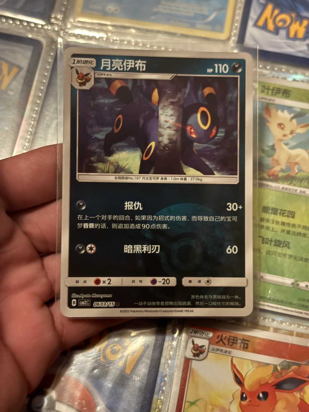 Chinese Pokeball Umbreon Pokemon Card