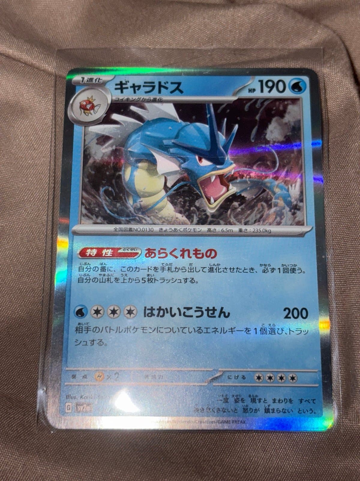 Japanese Gyrados Holo Pokemon TCG