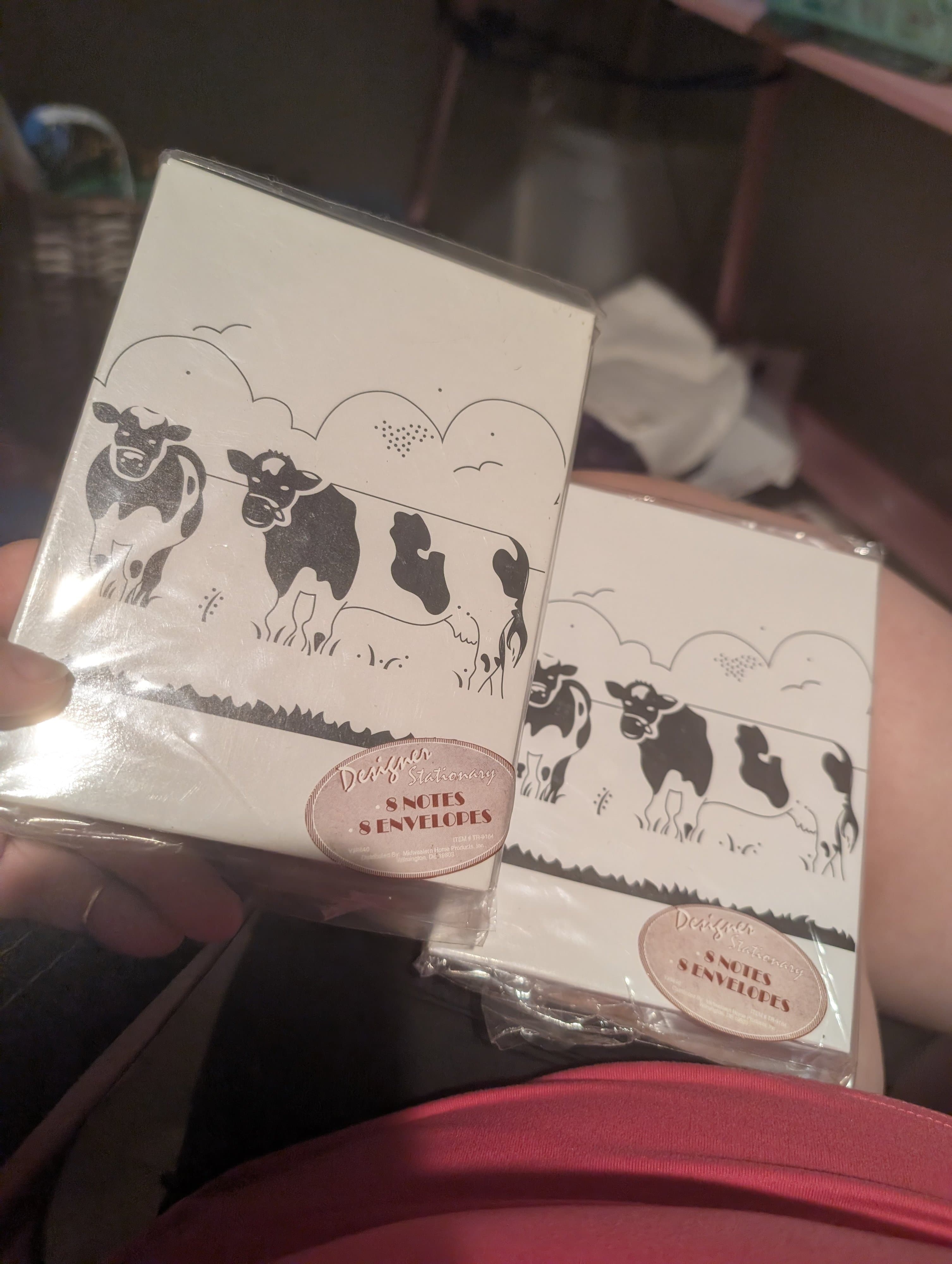 Designer Stationery Cow Note Cards 2 Packs, 8 Each