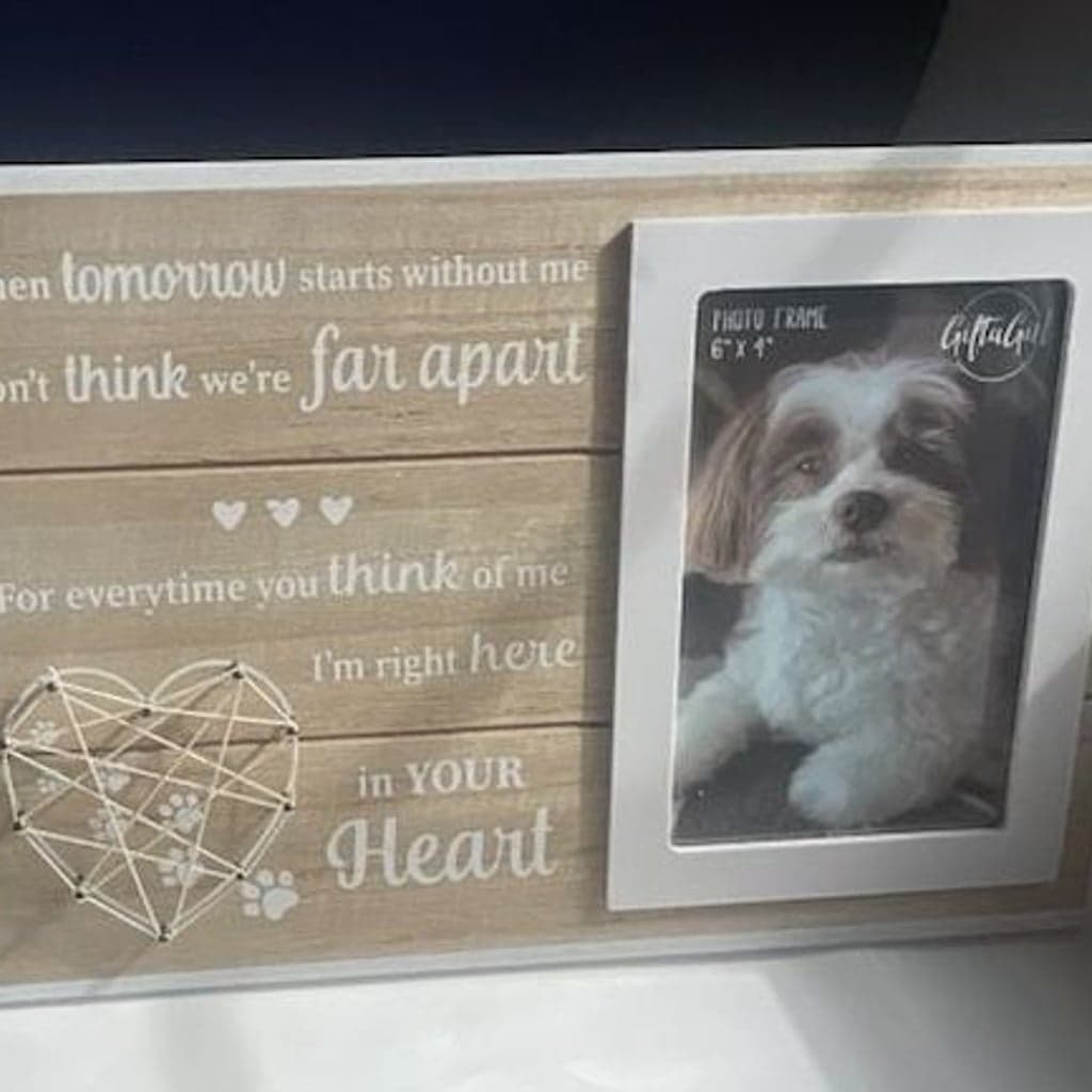 GiftaGirl Memorial Pet Photo Frame 6x4 String Art Heart