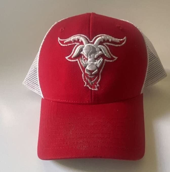 Zephyr Worcester Polytechnic Institute Engineers WPI Mascot Red/White Mesh Truck