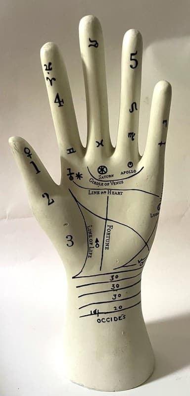 Palm Reader Jewelry Stand