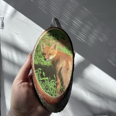 Vintage Yosemite Wood Plaque Hanging Souvenir Wood Slab Fox Print 6.5 Inch