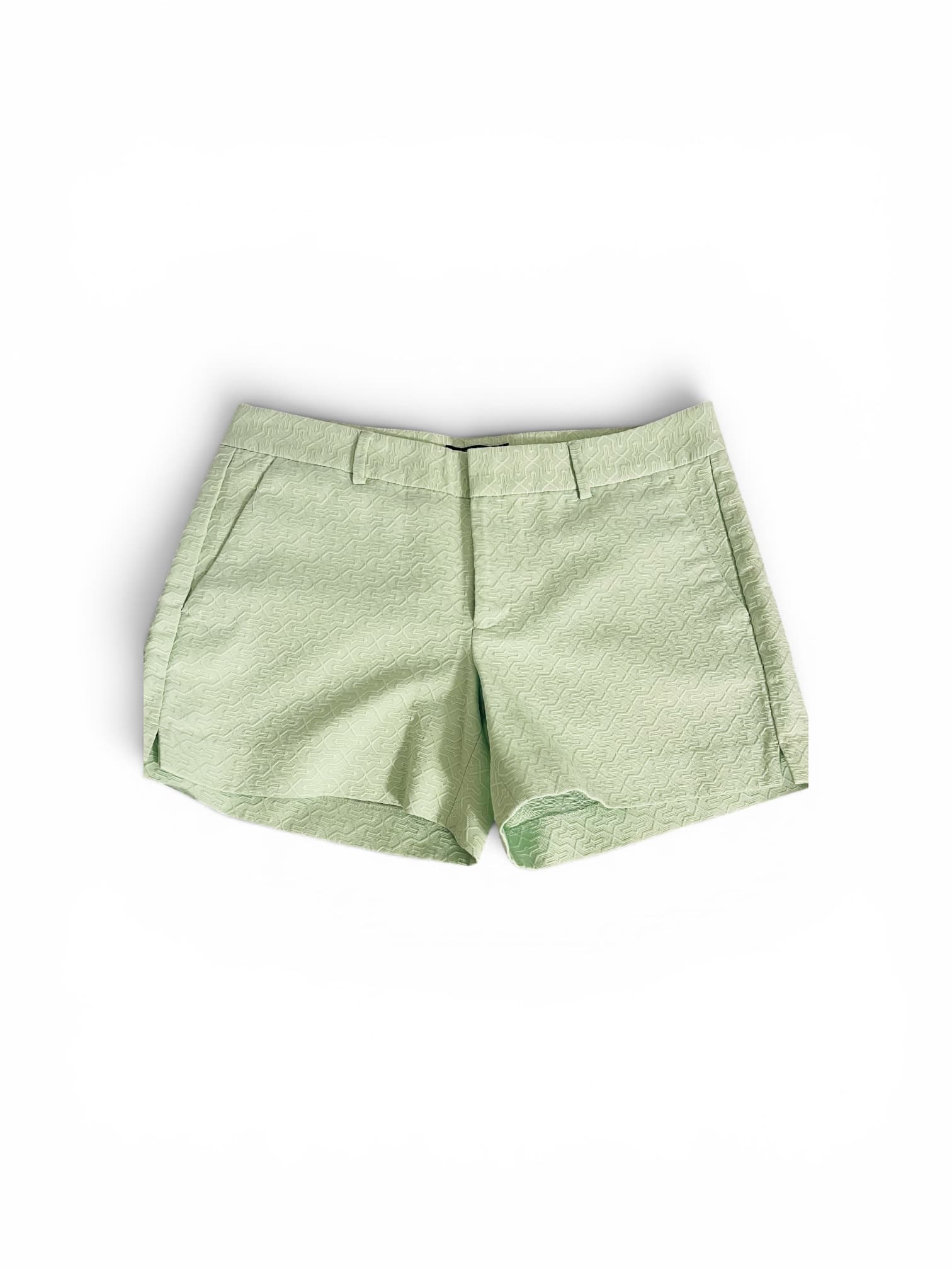 Banana Republic Mint Green Aztec Design Chino Shorts