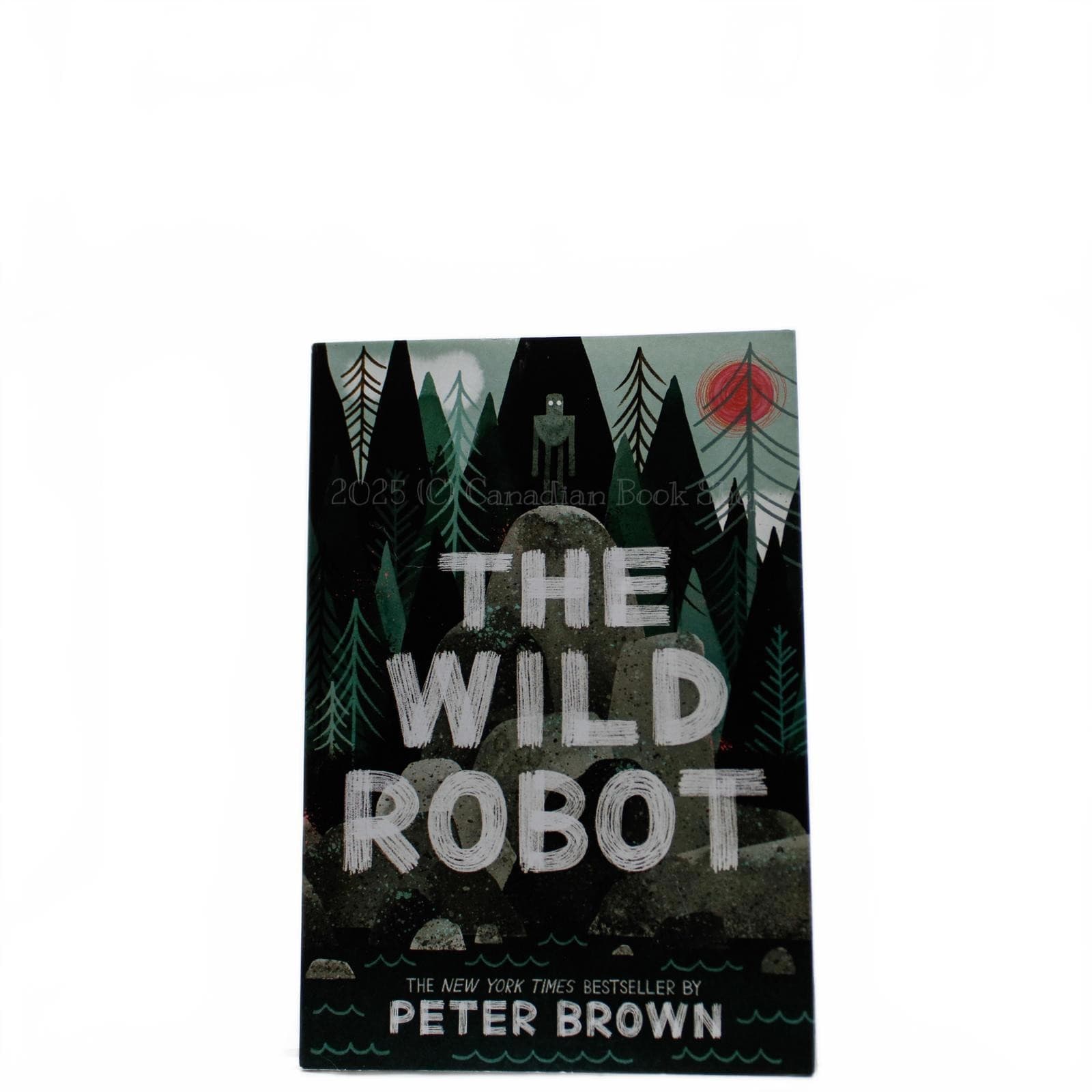 The Wild Robot by Peter Brown - Children's Book