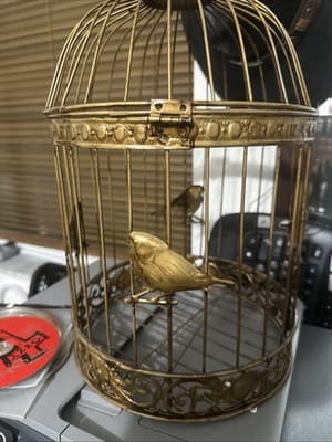 Wire Steel Dome Bird Cage Golden Ornate Decor