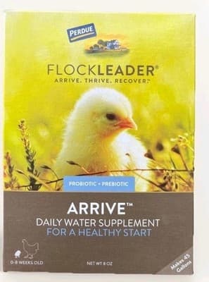 FlockLeader Arrive, Prebiotic & Probiotic Supplement for New Chickens, 0-8 Weeks