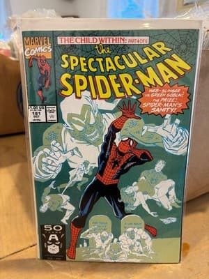 Spectacular Spider-Man #181 1991 Marvel Comic Spiderman Green Goblin c1