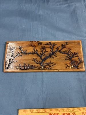 High Voltage Wood Art, Electrocuted Burned Wall Hangers Coat Or Key Holder