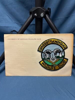 Exclusive Pre Production Design Logo University Of Montana Wildlife Club Patch