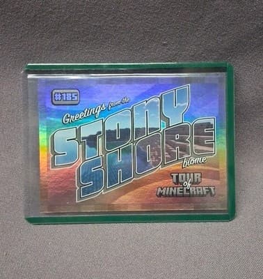 STONY SHORE BIOME 2024 PANINI MINECRAFT TOUR SILVER PARALLEL 096/475 #185
