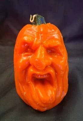 VTG Todd Masters Wax Candle Pumpkin Face ~ Oh Lantern Family Candle Hong Kong
