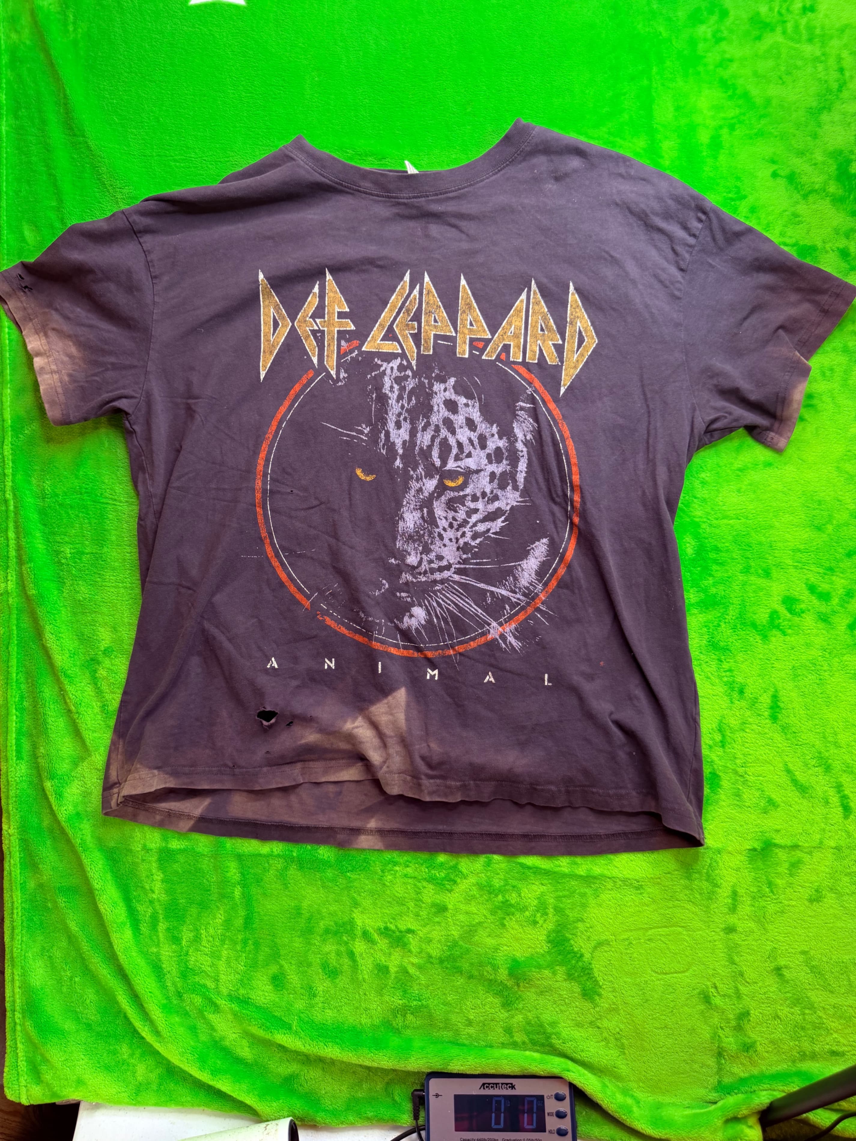 H&M Def Leppard Animal Graphic Tee Mens Sz L Faded Distressed