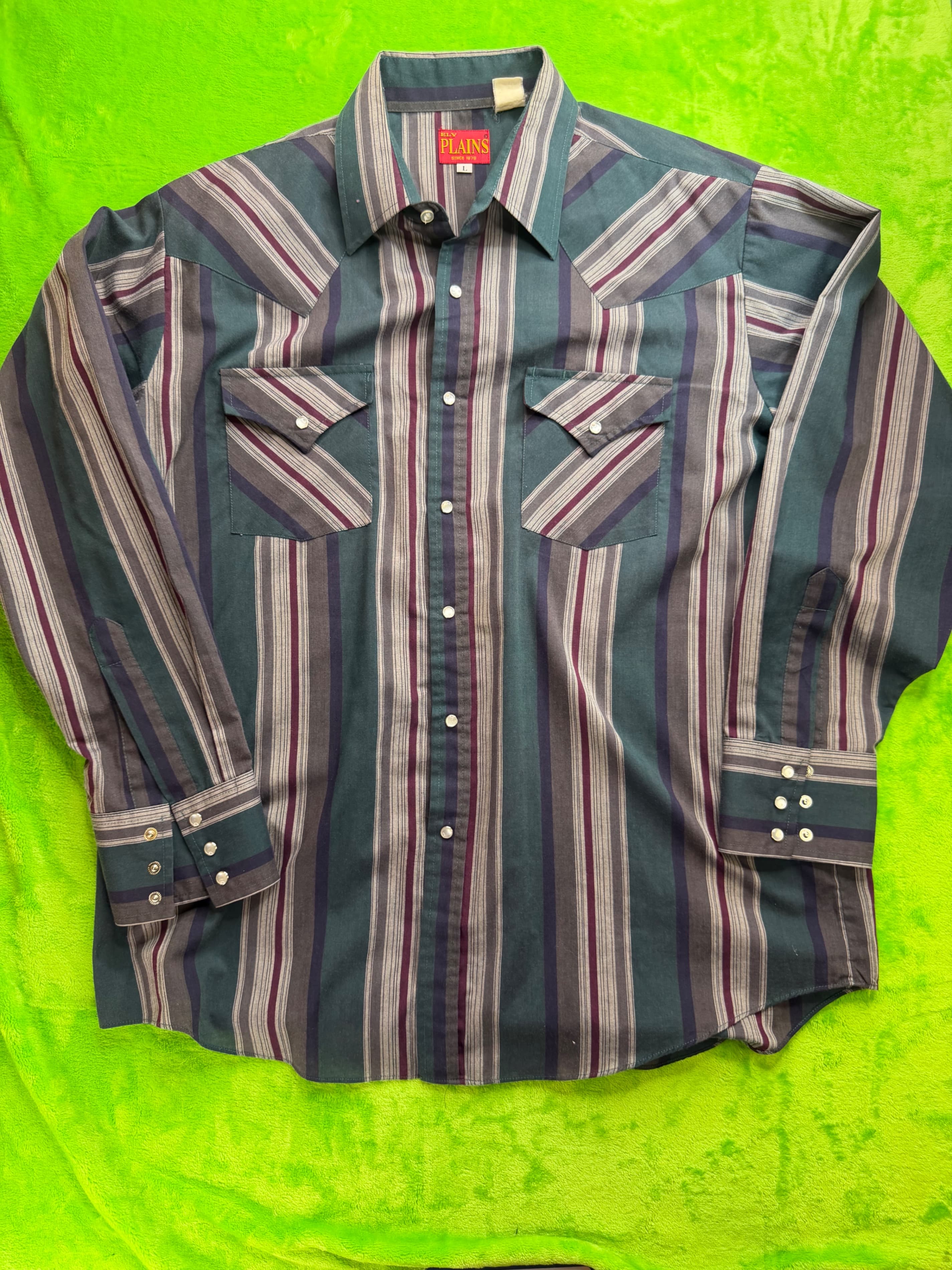 Vtg Ely Plains Since 1878 Pearl Snap LS Western Shirt Mens Sz L Teal Stripe
