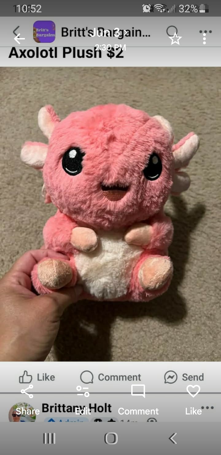 Axolotl Plush Toy Pink