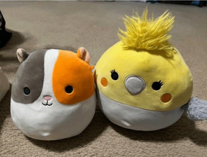 Squishmallows Cat and Bird Plush Toys