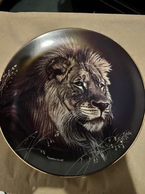 Hamilton Collection Nature's Majestic Cats African Lion Limited Edition Plate