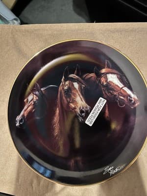 Susie Morton Entering the Light Noble and Free Horse Porcelain Collector Plate