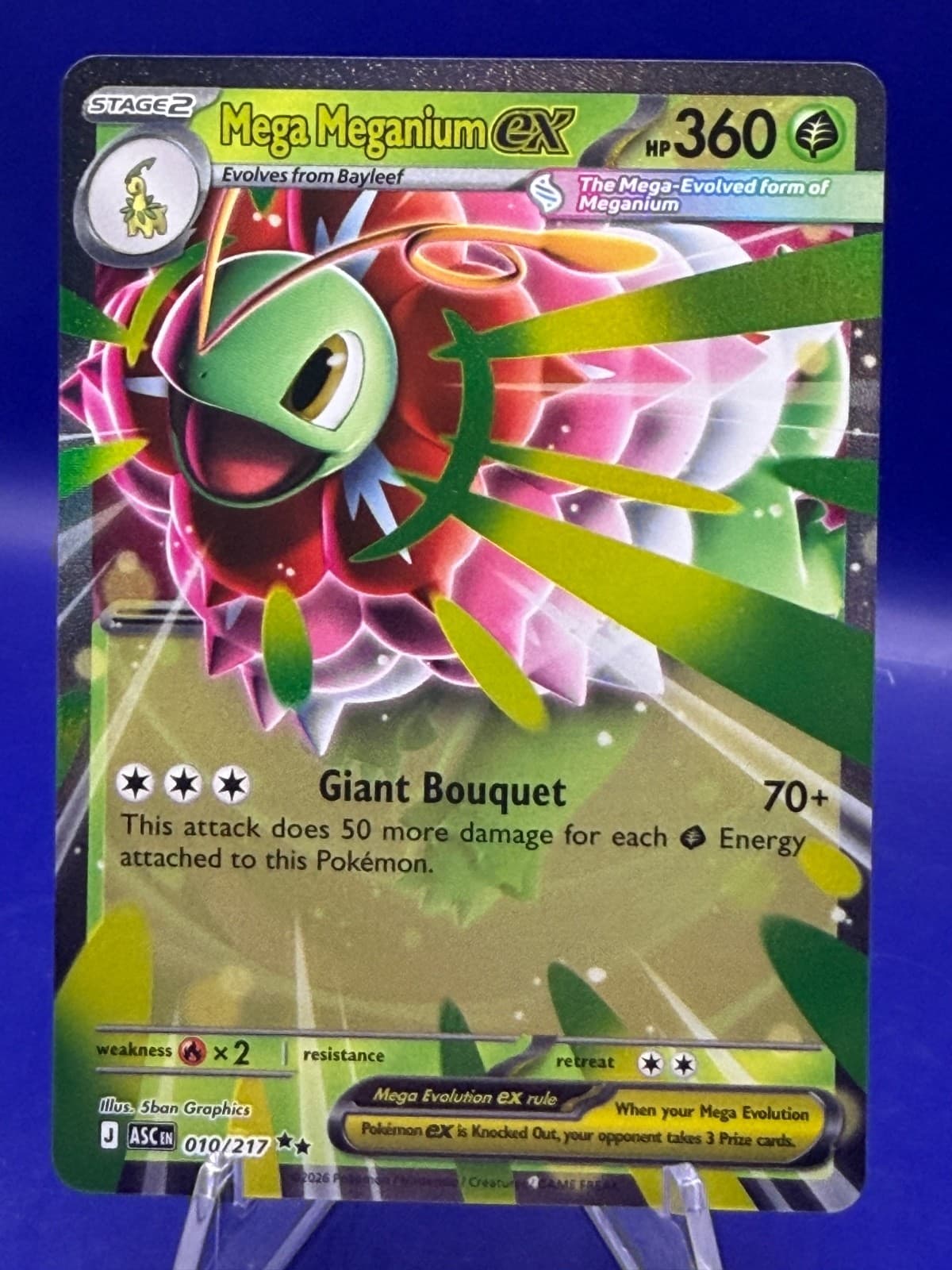 Mega Meganium ex 010/217 Ascended Heroes Double Rare Holo Pokemon TCG NM