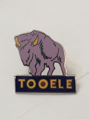 Vintage Tooele Utah Bison Lapel Pin Enamel Travel Souvenir Buffalo Purple Yellow
