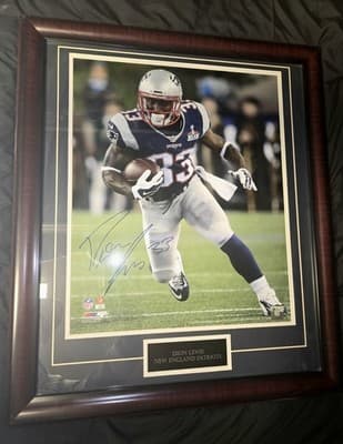 Framed Patriots Dion Lewis Autographed 23"x27" w/COA