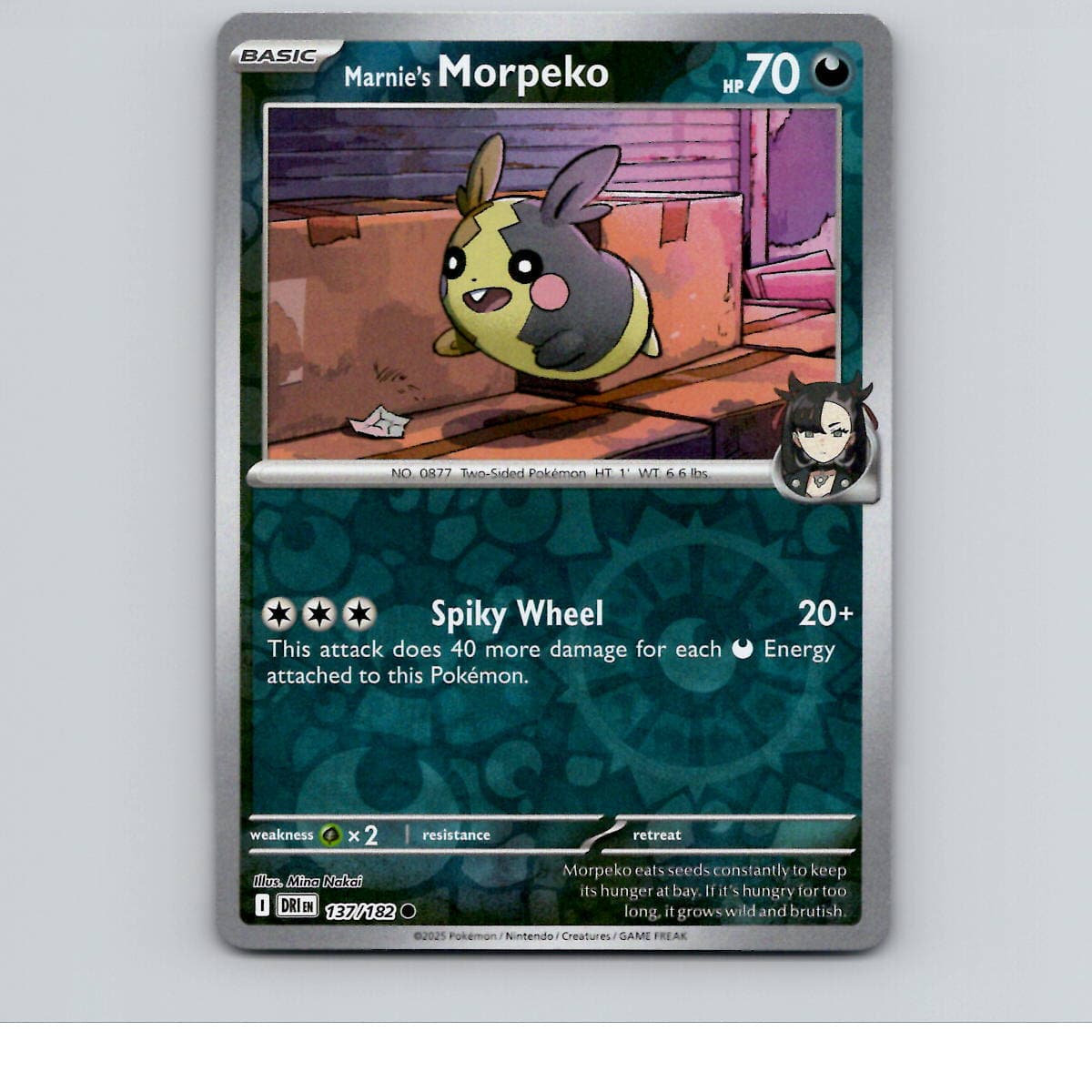 Marnie's Morpeko - 137/182 - DRI - Common/ Reverse Holo - NM