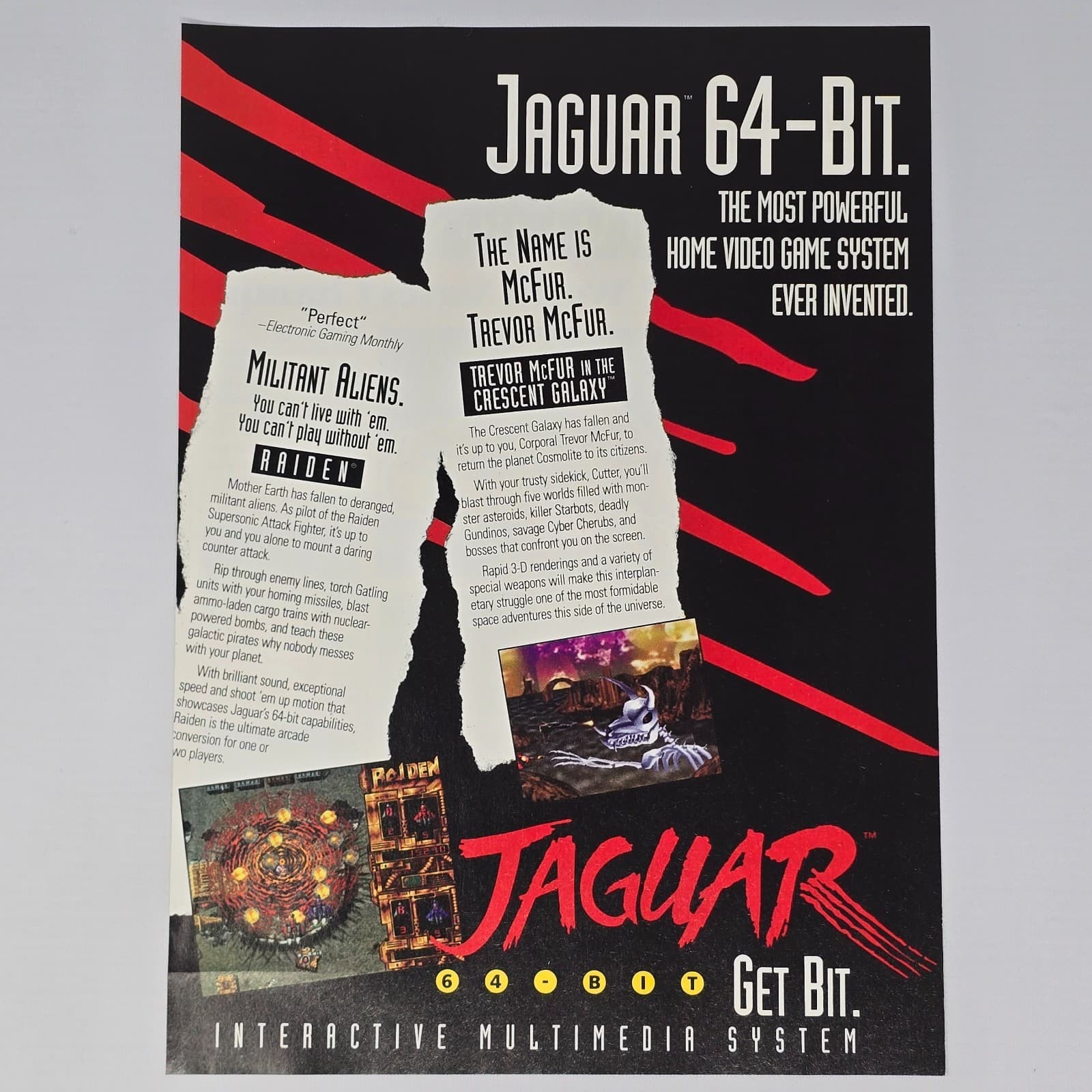 Jaguar Get Bit Print Ad/Poster