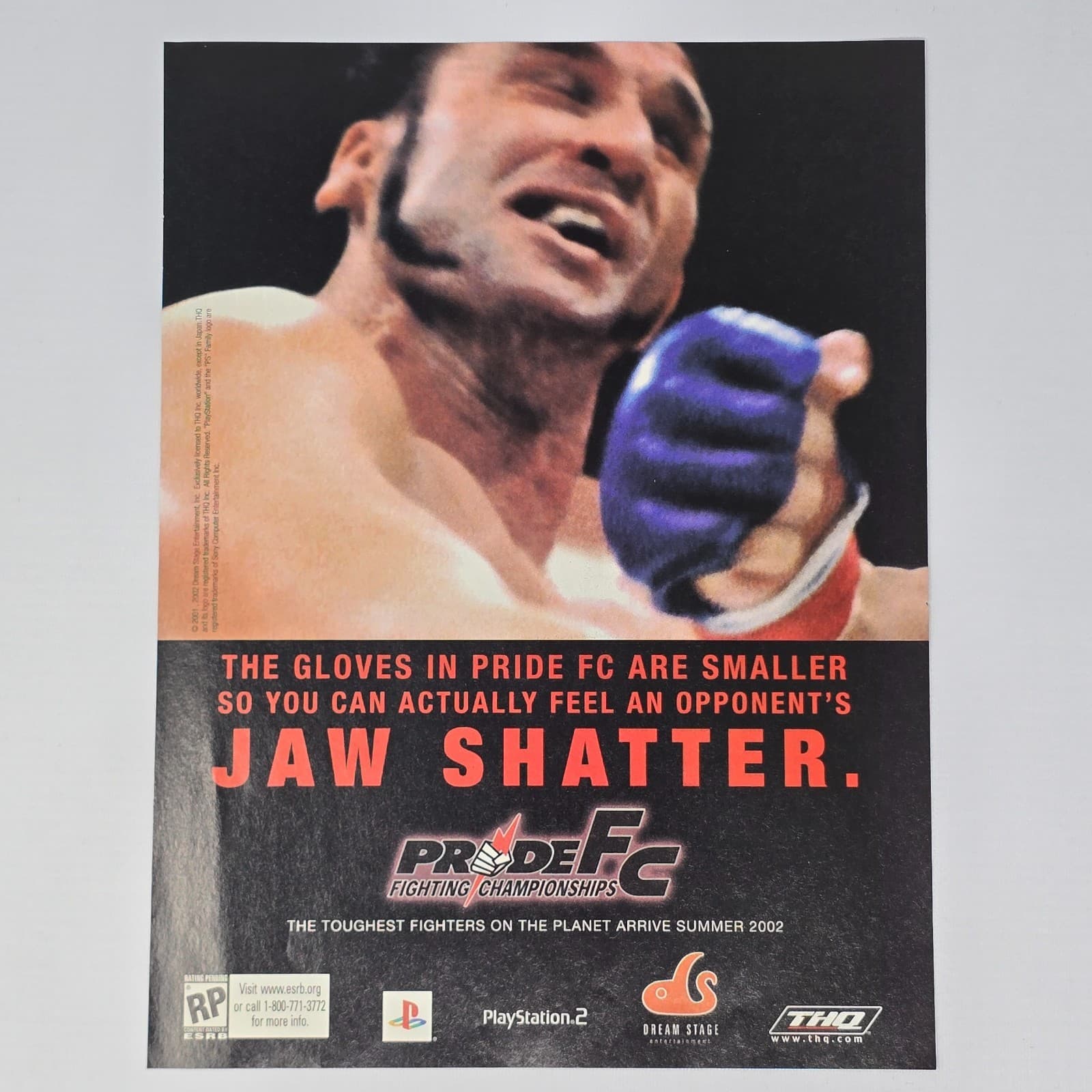 Pride FC Fighting Championships PlayStation 2 PS2 Gloves Print Ad/Poster