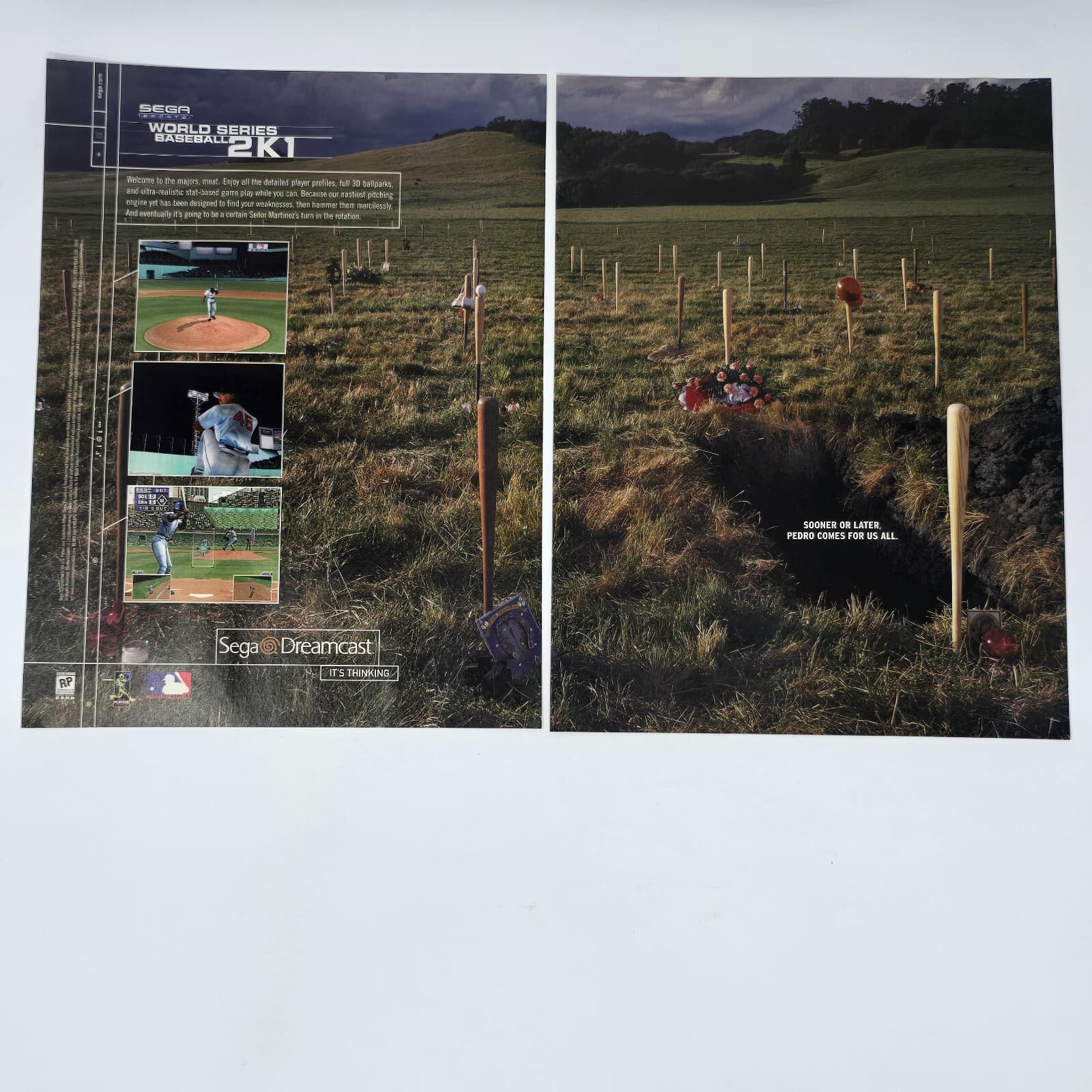 World Series Baseball 2K1 Dreamcast Pedro Print Ad/Poster Official Promo Art