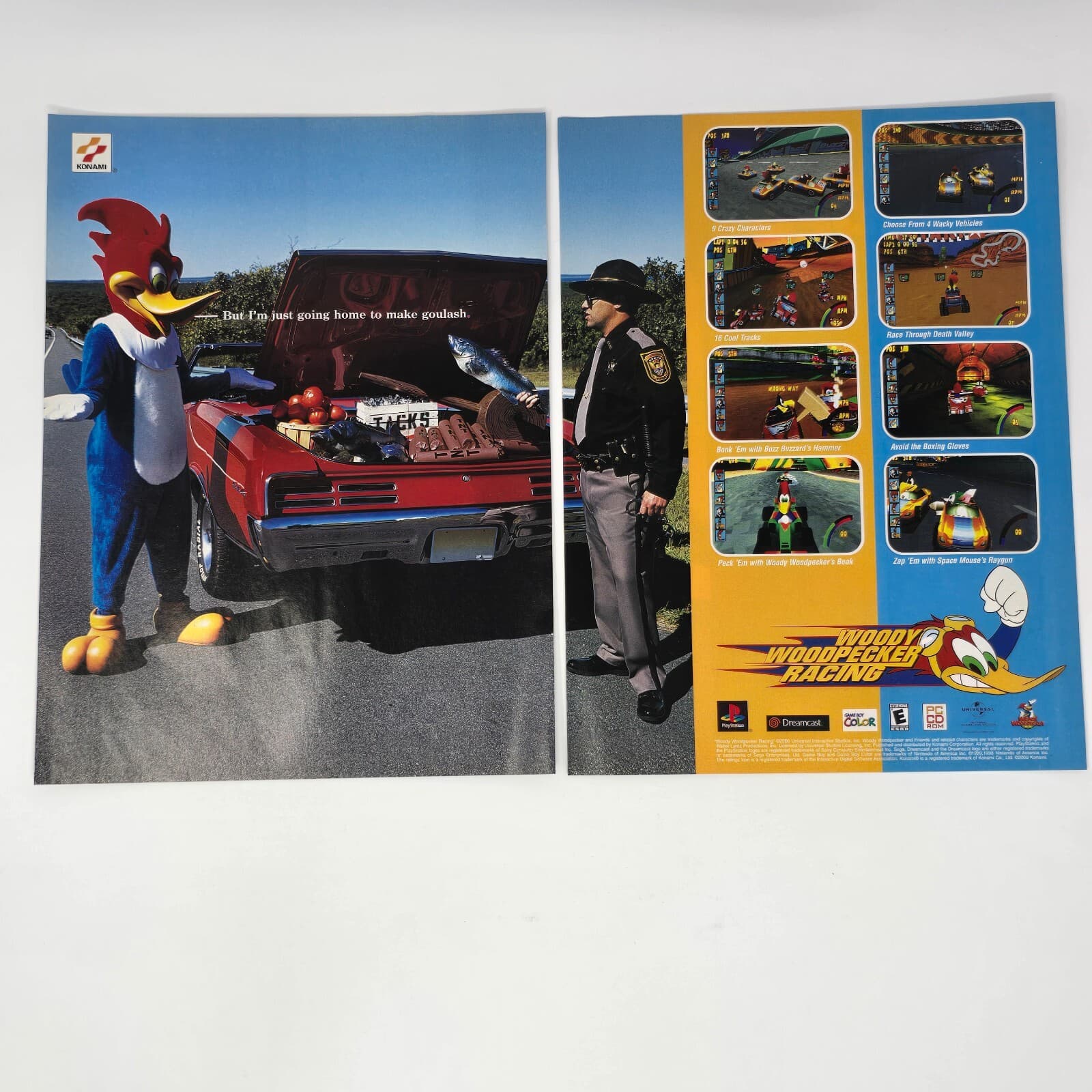 Woody Woodpecker Racing PS1 Dreamcasr GameBoy Goulash Print Ad/Poster Promo Art