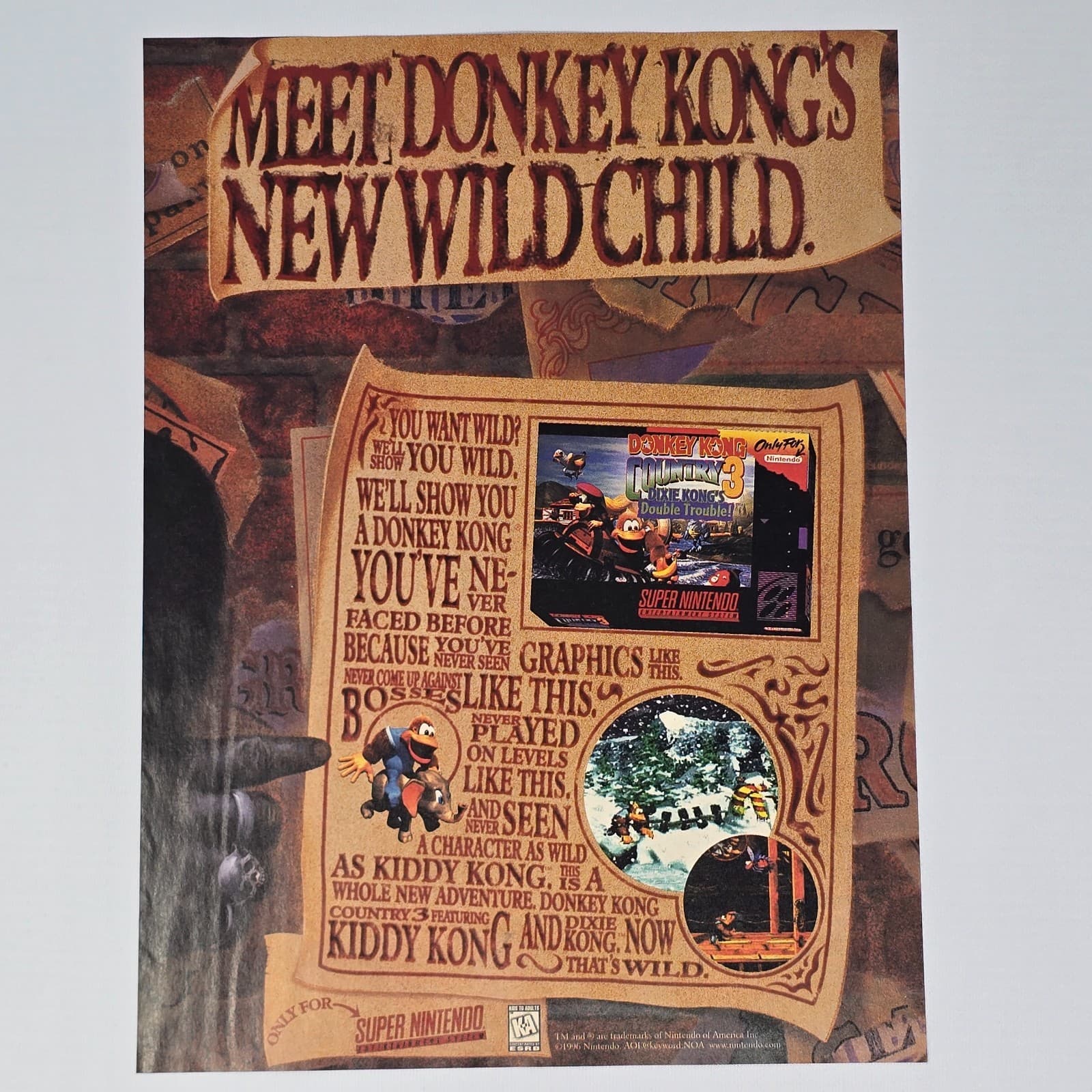 Donkey Kong Country 3 Super Nintendo SNES Wild Child Printer Ad/Poster